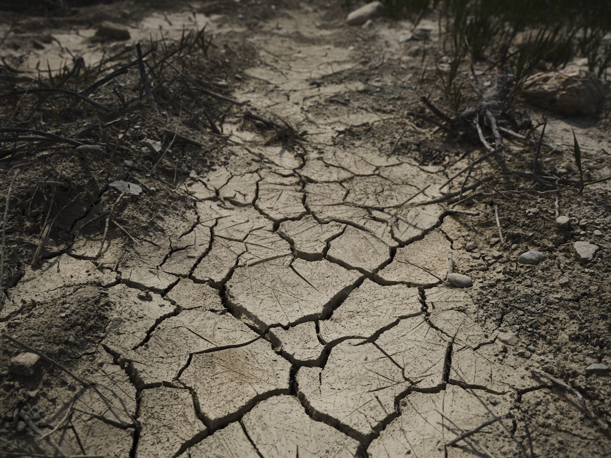 Cracked dry earth showing drought and water scarcity